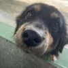 bepbep_78