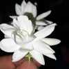 user847325052