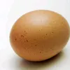 shishhhdumplbrrrrrrboom