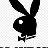 playboy1112234
