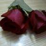 laila_h23
