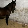camilo....121
