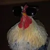 mohammedaldeeck