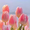 _amis06