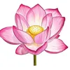 user121188246