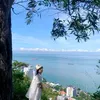 phamhoai198