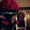hussam909