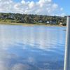 bernard_341