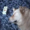 _knguan