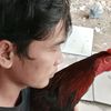 shamsul35