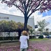 phuochou