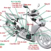 honda89tuan21