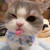 siju_darling7