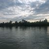 vikism68