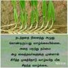 rajavel336