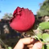 almalik904