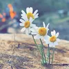 unknown.n017