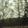 annalewandowska226