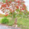 huongmix92
