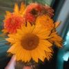 laurr_w