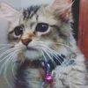 mita....8