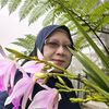 iffajamil66