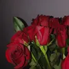 rai_issm