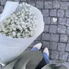 lllhanooll