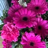 flwr_890