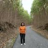 dimpusilaban10