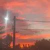 bichvuong2k1