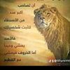 09amin1981
