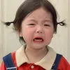 Yang xú túi mè 🐟