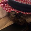 sqov_