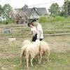 lmamhcuong97