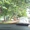 budiwildrift