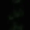 9_6ali