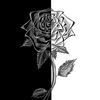 user84456156