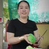 bichthunko1