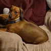 cooper.aaron
