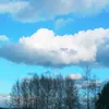 skrzydla_motyla