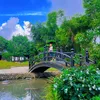 hoangbichngoc6789
