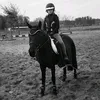 equestrianworld_2701