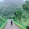 anhthang281191