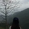 ROSE Phạm