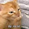 diayannihe