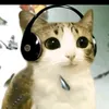 chegotobinada