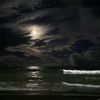 leenammar_