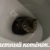 ejkdbkenejrje