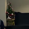 manhcute07